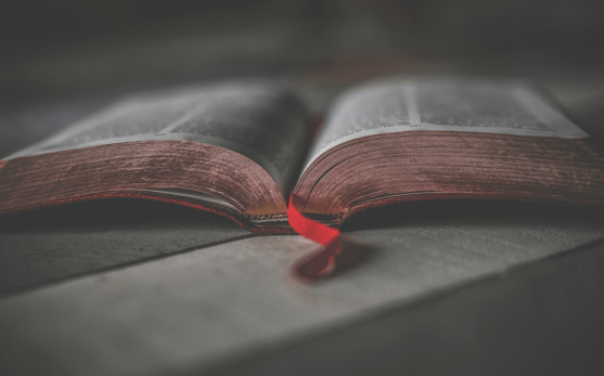 blank bible blank bible